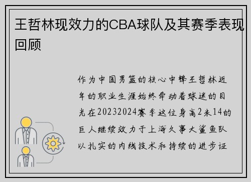 王哲林现效力的CBA球队及其赛季表现回顾